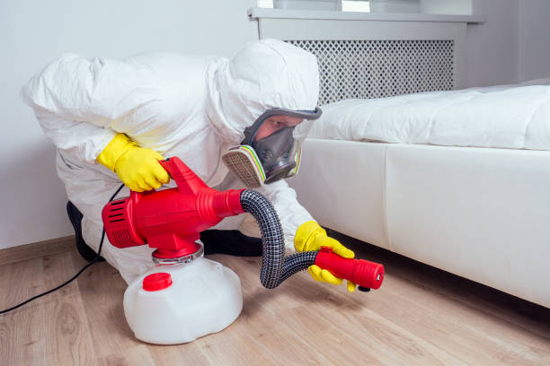 Best Cockroach Control Services  in Frankl, IN