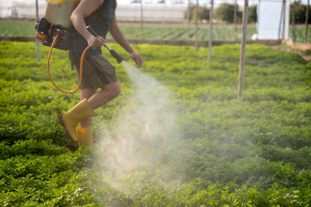 Best Ant Control Services  in Frankl, IN