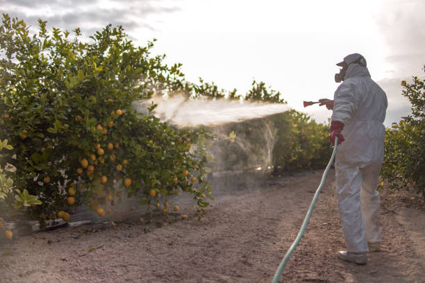 Best Affordable Pest Control Services  in Frankl, IN