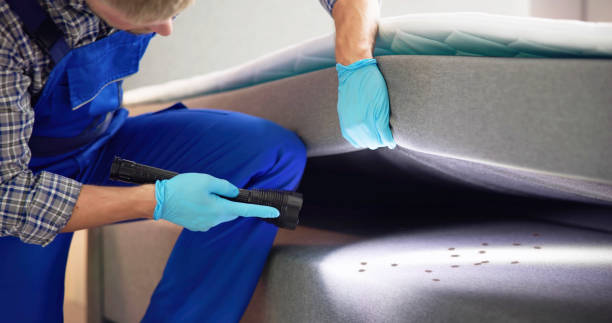 Best Flea Control Services  in Frankl, IN