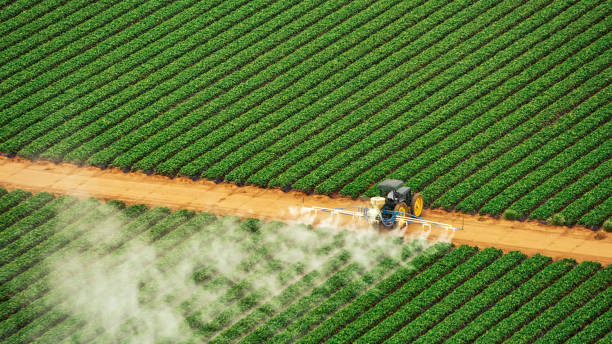 Best Termite Control Services  in Frankl, IN