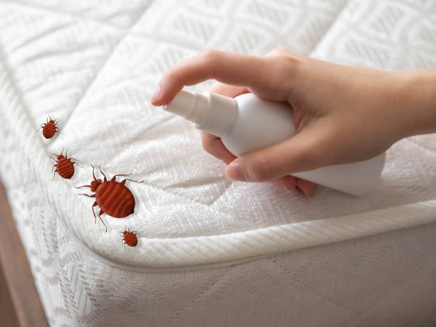 Best Emergency Pest Control  in Frankl, IN