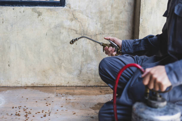 Best Pest Prevention Services  in Frankl, IN